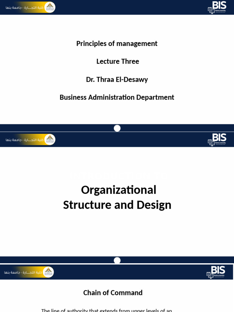 Organizational Structure and Design Principles | PDF | Organizational ...