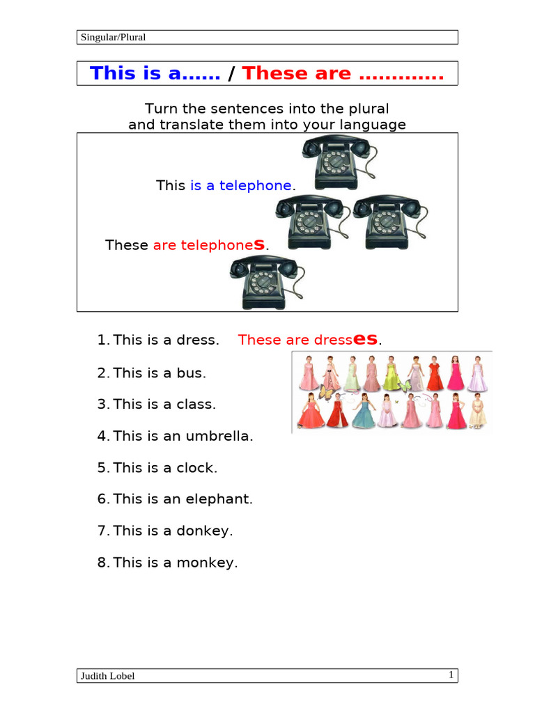 Singular and Plural Sentence Practice | PDF
