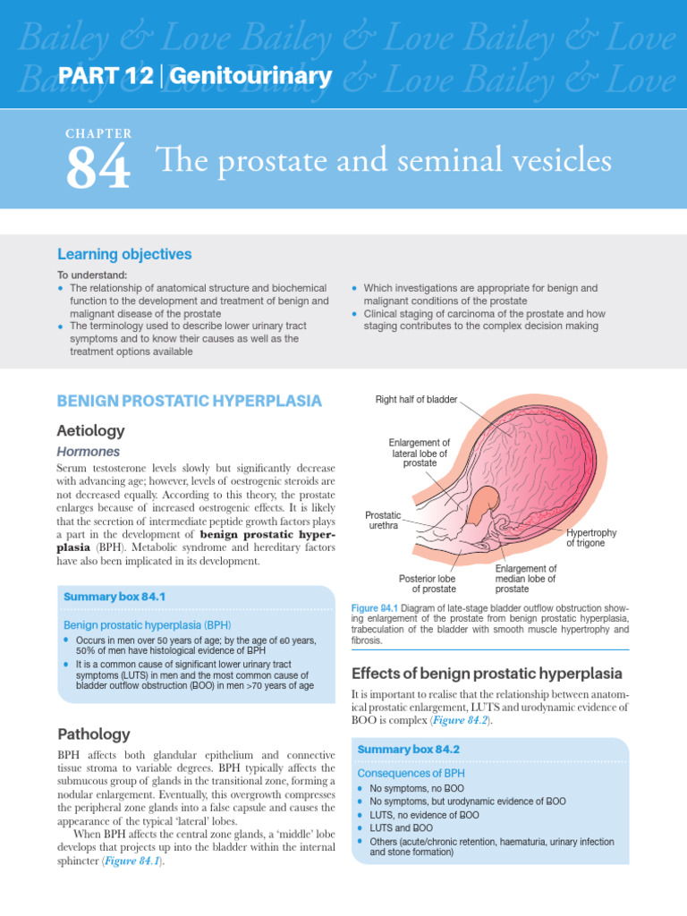 Prostate Health: BPH Overview and Treatment | PDF | Prostate | Urinary ...