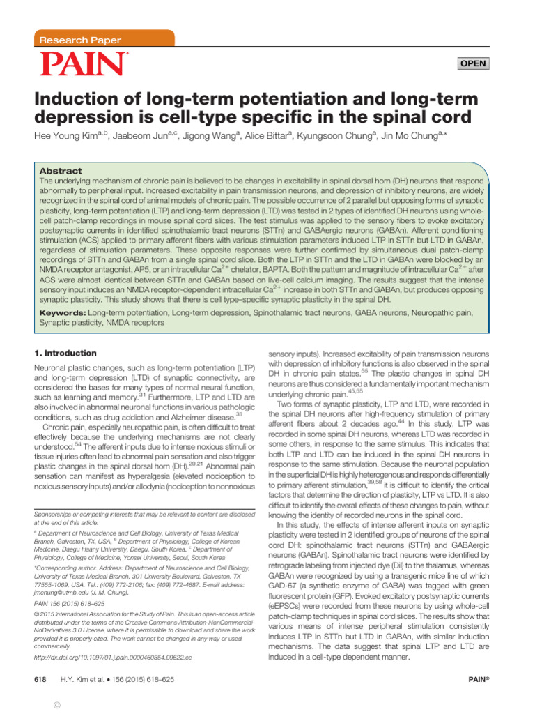 Cell-Type Specific Synaptic Plasticity in Pain | PDF | Synaptic ...