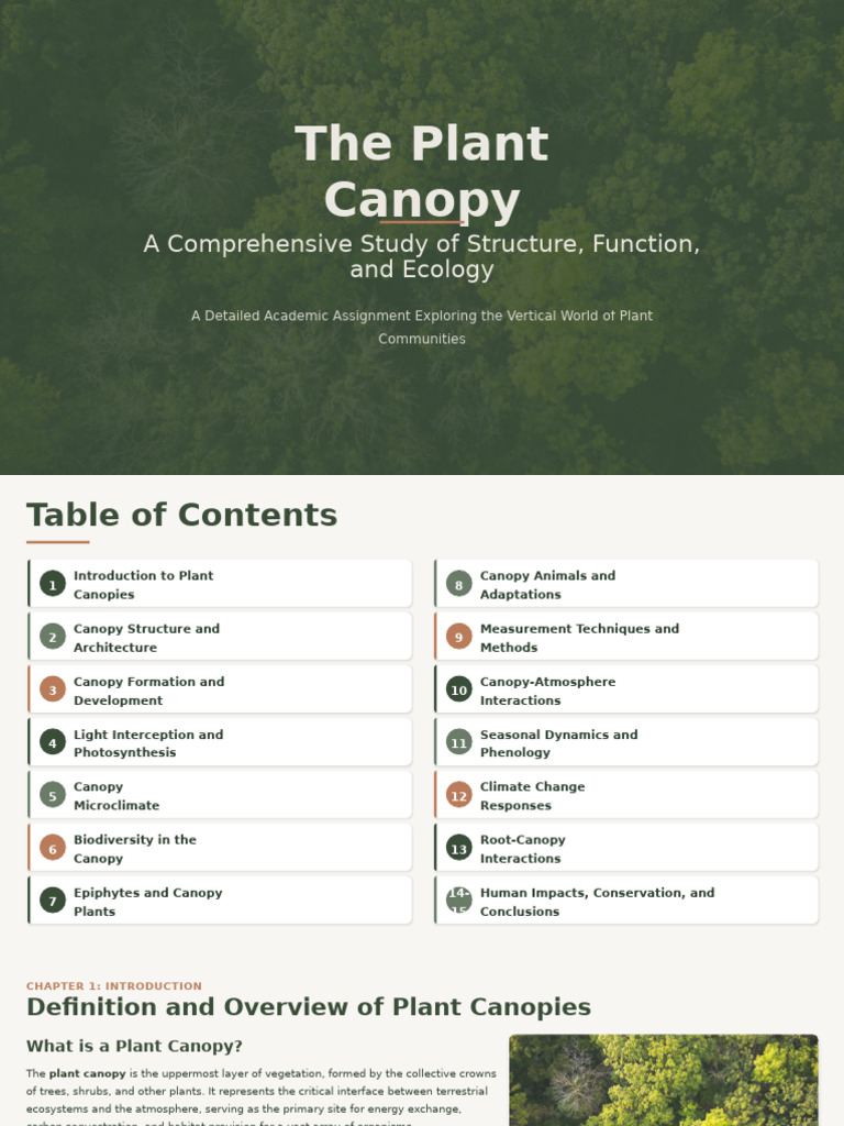 Plant Canopy: Structure and Ecology Study | PDF | Canopy (Biology) | Leaf