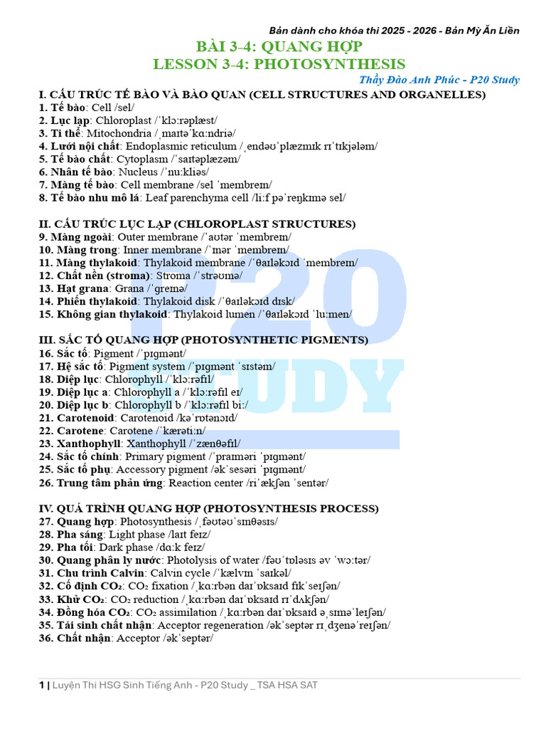 Vocabulary - Photosynthesis in Plant | PDF