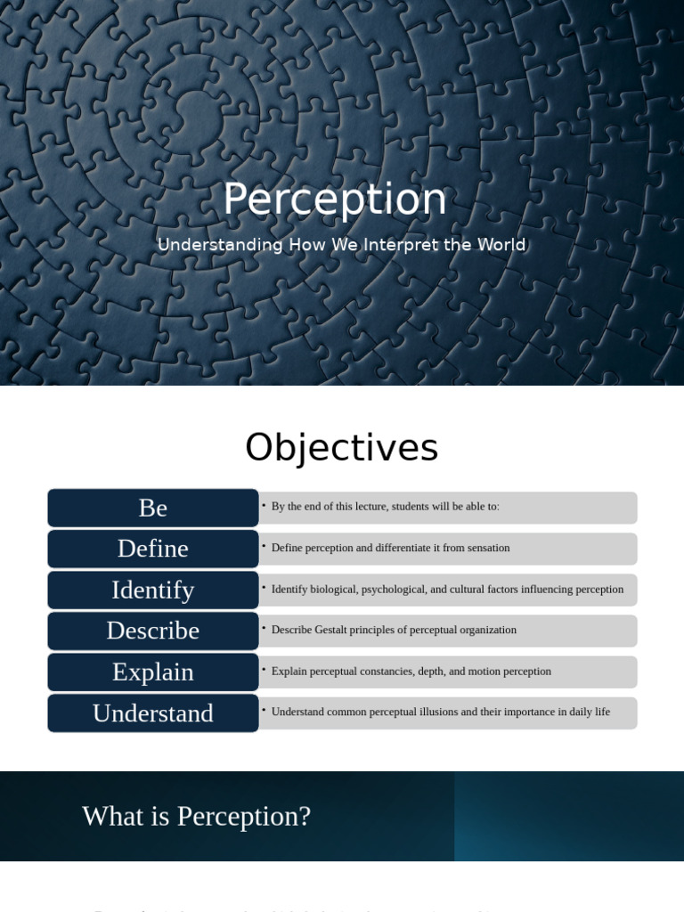 Perception | PDF | Perception | Illusion