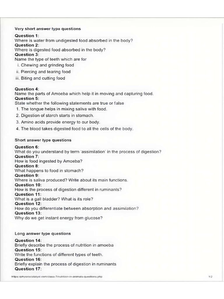 1000232198 | PDF