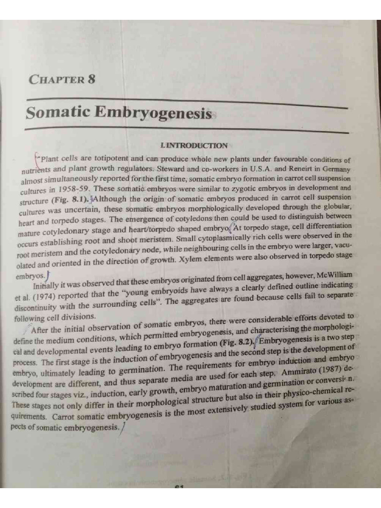 Tissue Culture | PDF