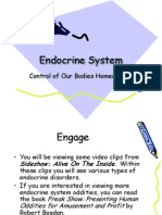 Endocrine System: Control of Our Bodies Homeostasis