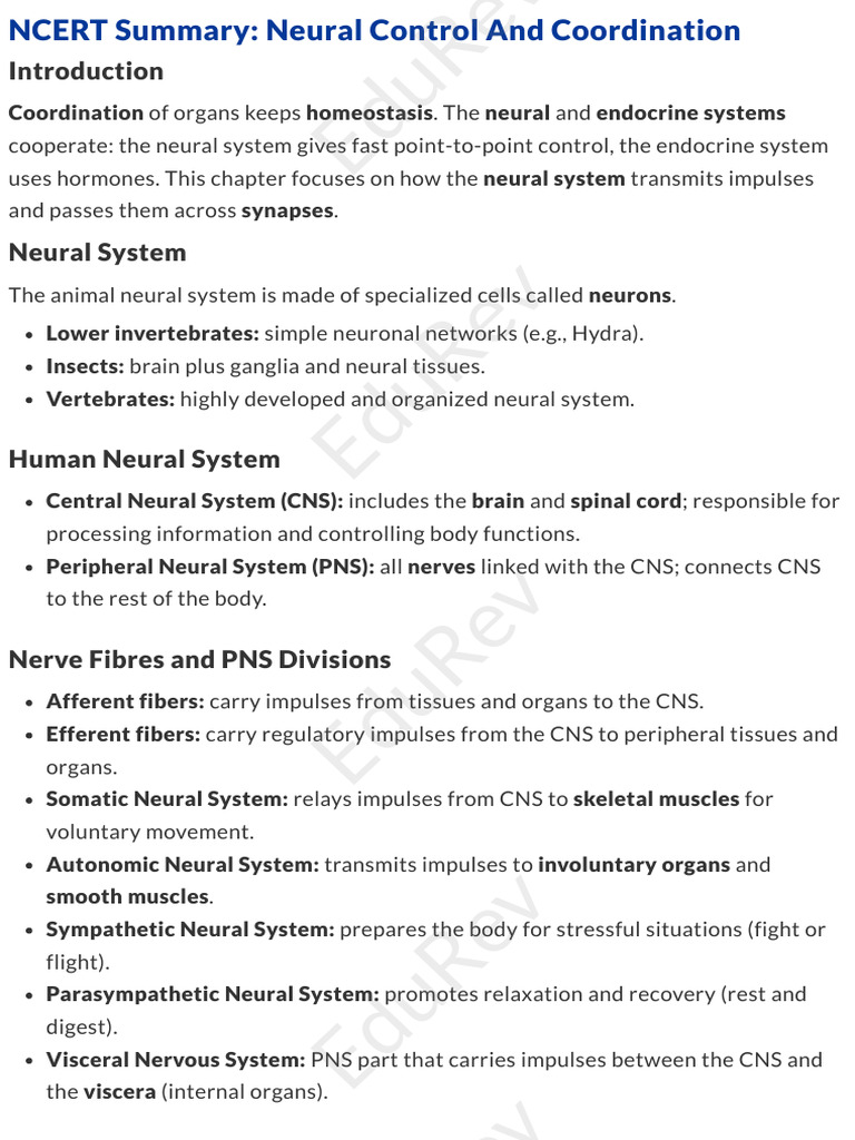 Neural Control and Coordination Overview | PDF | Nervous System ...