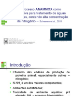 O Processo ANAMMOX no Tratamento de Aguas Residuarias