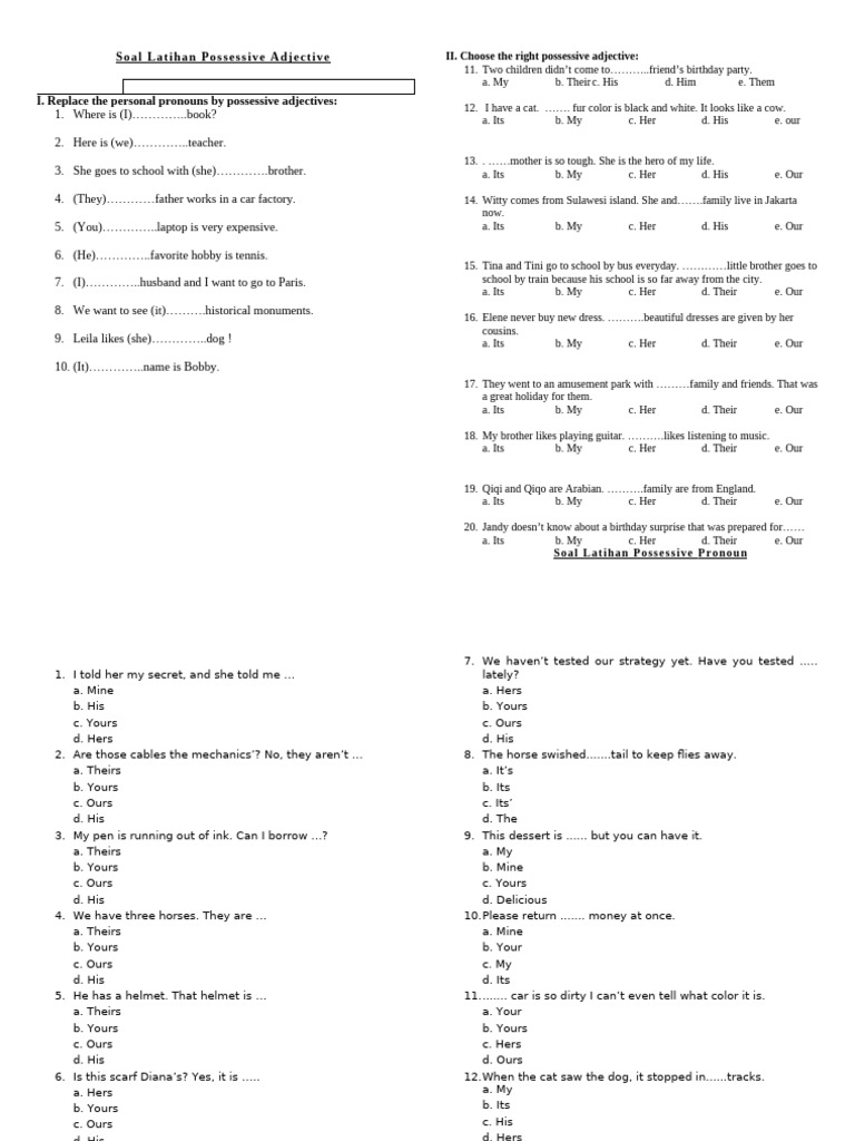 Possessive Adjective Practice Exercises | PDF | Chess Openings | Chess