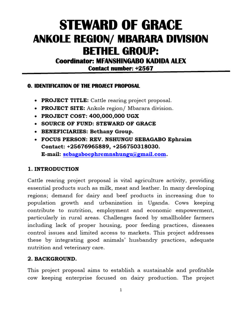 Cattle Rearing Project Proposal Uganda | PDF | Cattle | Dairy