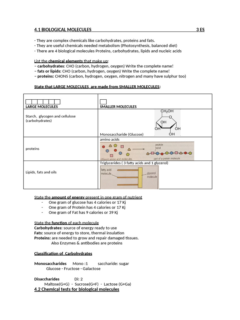 Overview of Biological Molecules and Tests | PDF | Dna | Carbohydrates