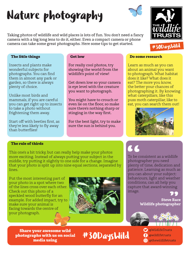 2. Nature Arts Crafts Nature Photography | PDF | Camera | Zoology