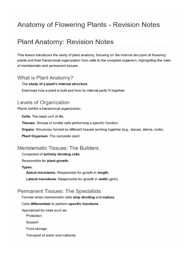 Anatomy of Flowering Plants-Revision-Notes | PDF