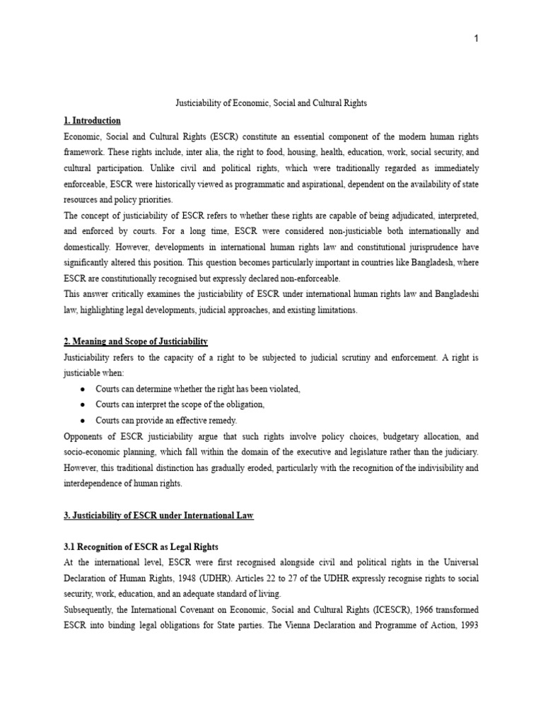 Justiciability of Economic and Social Rights | PDF | Human Rights ...
