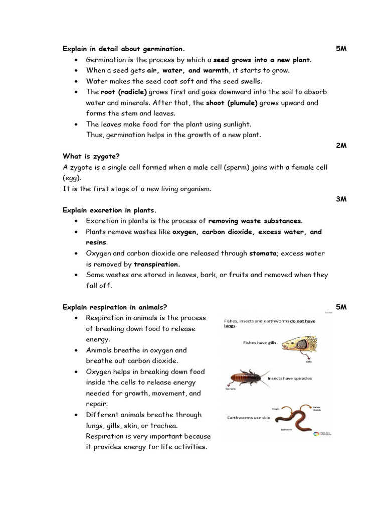 Science Revision Notes | PDF | Water | Stoma