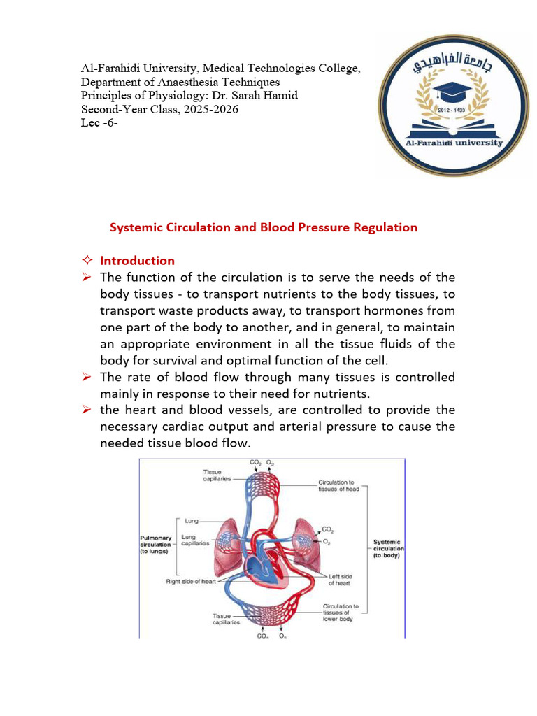 Systemic Circulation & Blood Pressure Regulation | PDF | Circulatory ...