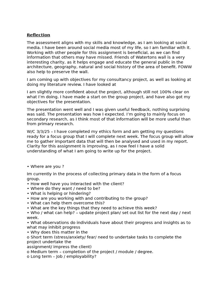 Social Media Consultancy Project Reflection | PDF | Focus Group ...