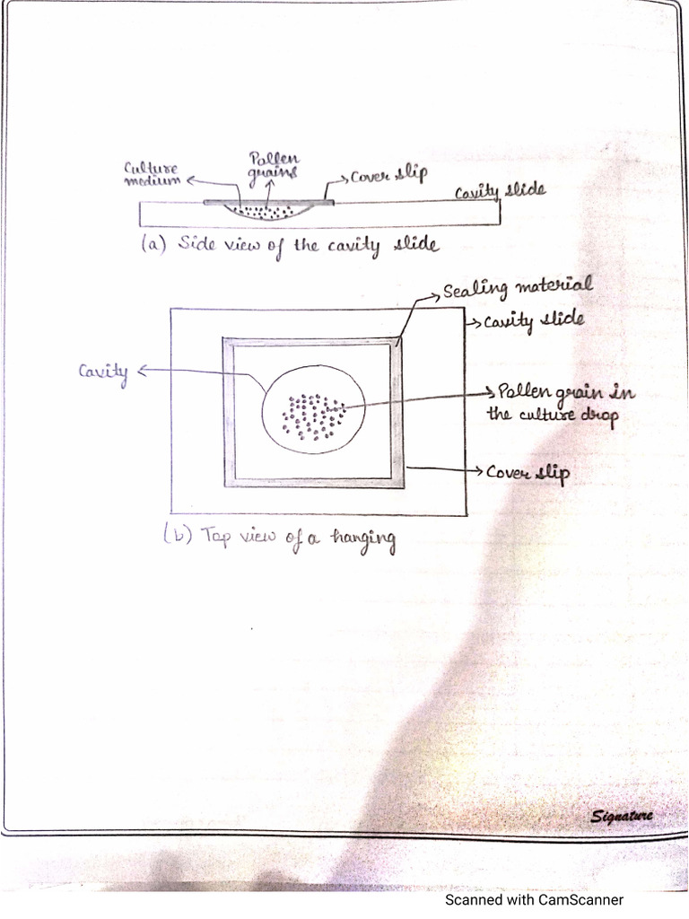 Bio Practical XII | PDF