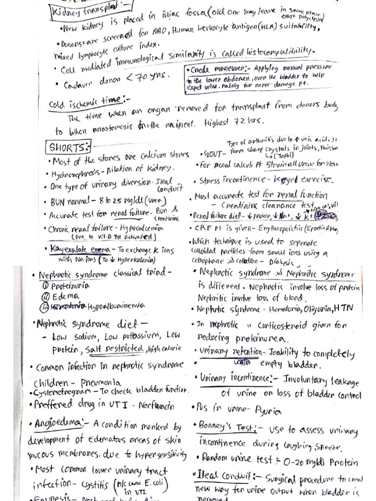 My Notes | PDF