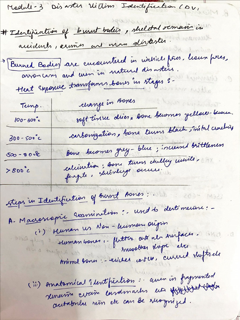 Module 3 | PDF