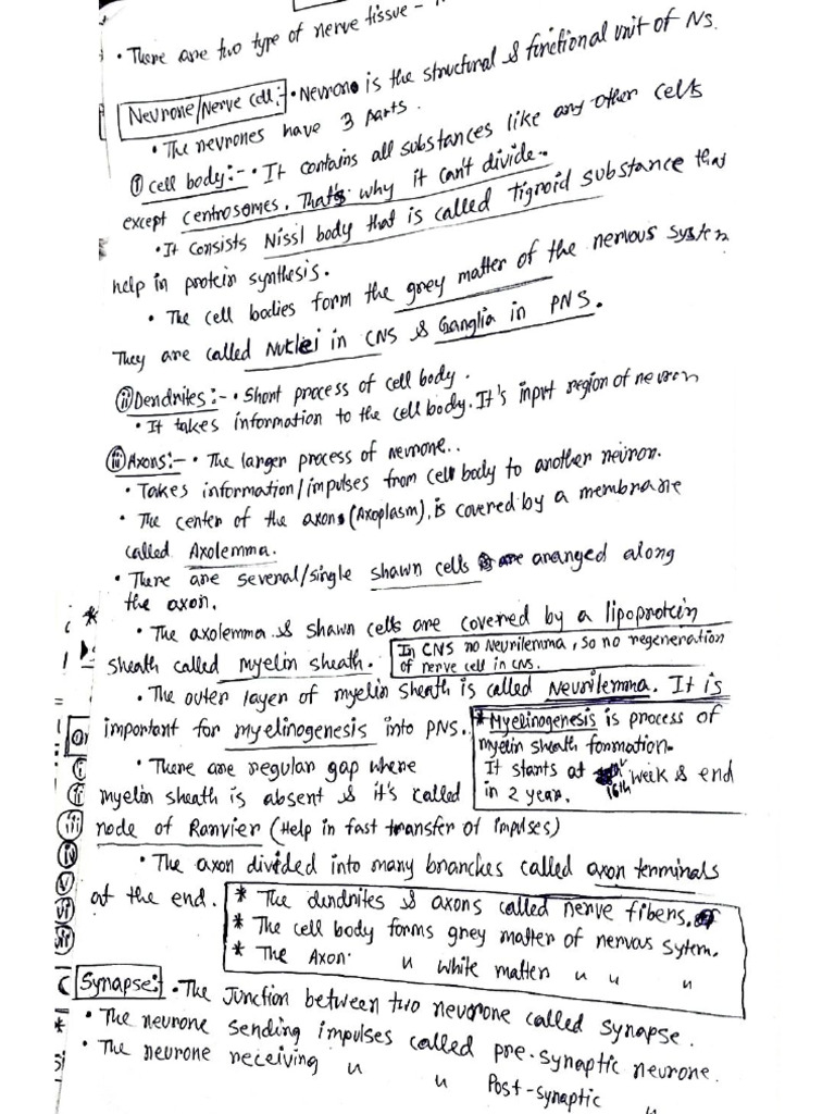 My Notes | PDF