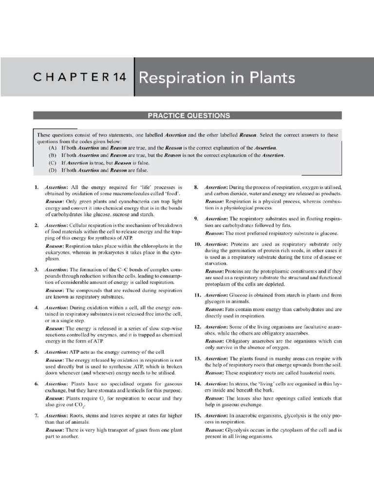 Botany Work Sheet | PDF