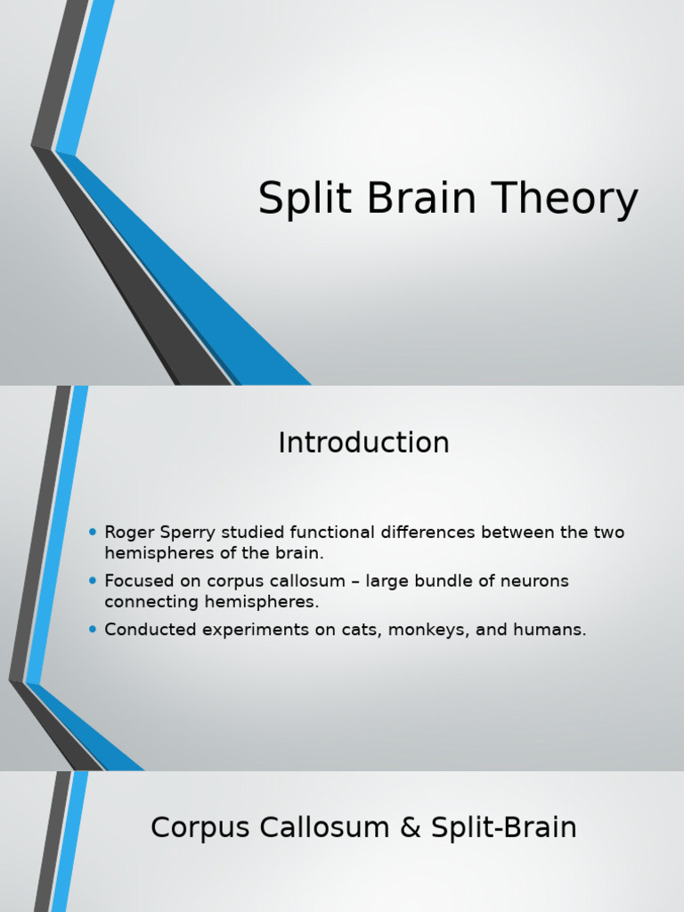 Understanding Split Brain Theory | PDF | Lateralization Of Brain ...