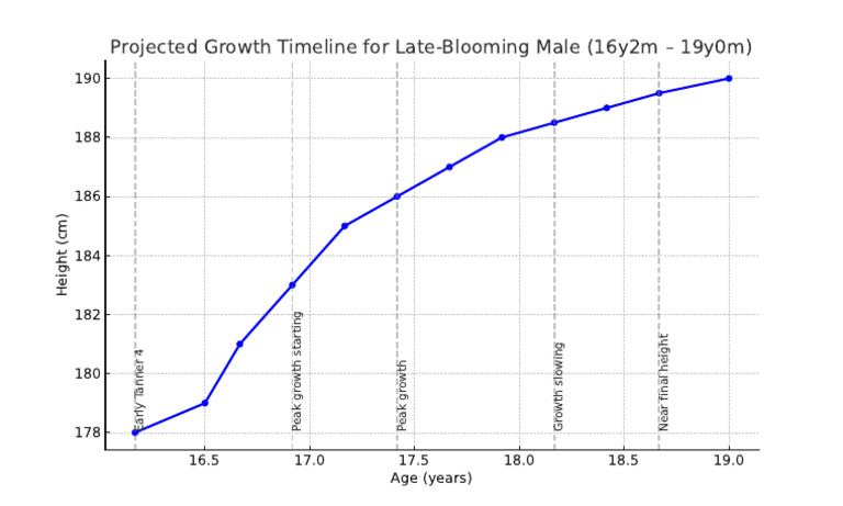 Growth Timeline | PDF