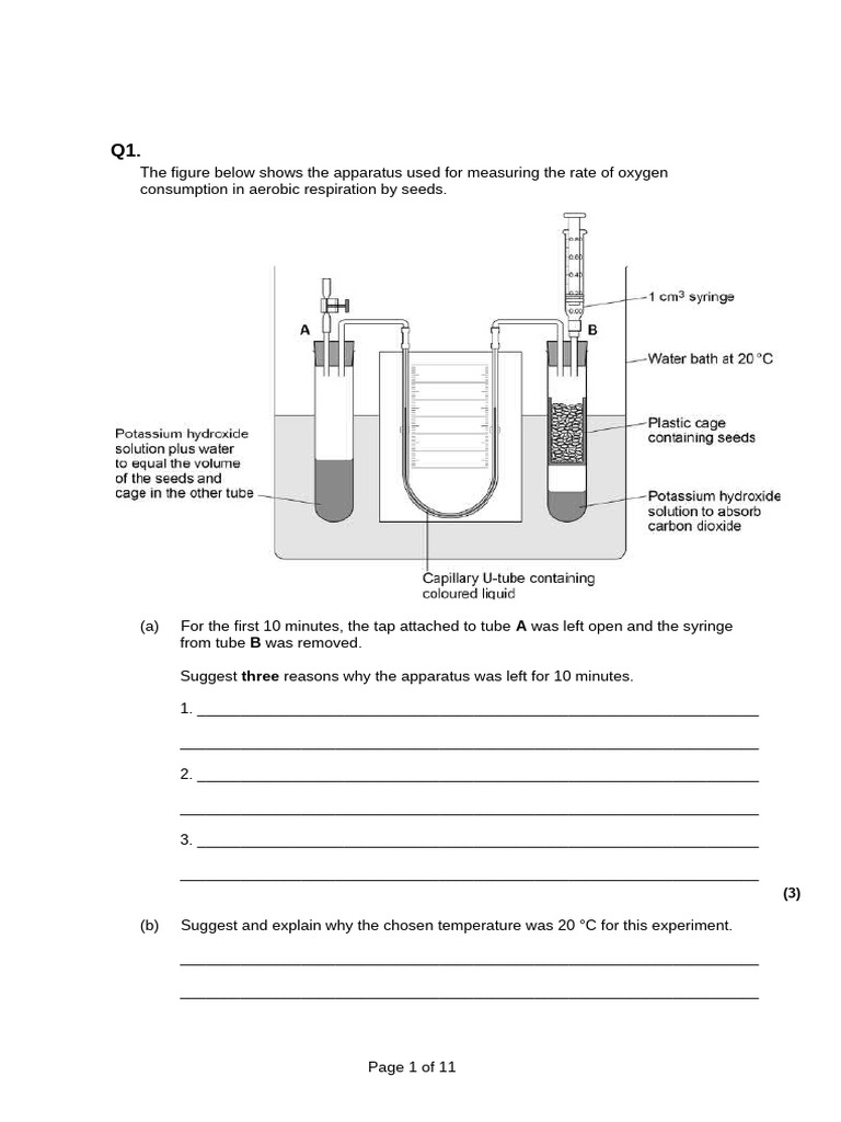 Oxygen Consumption in Seed Respiration | PDF