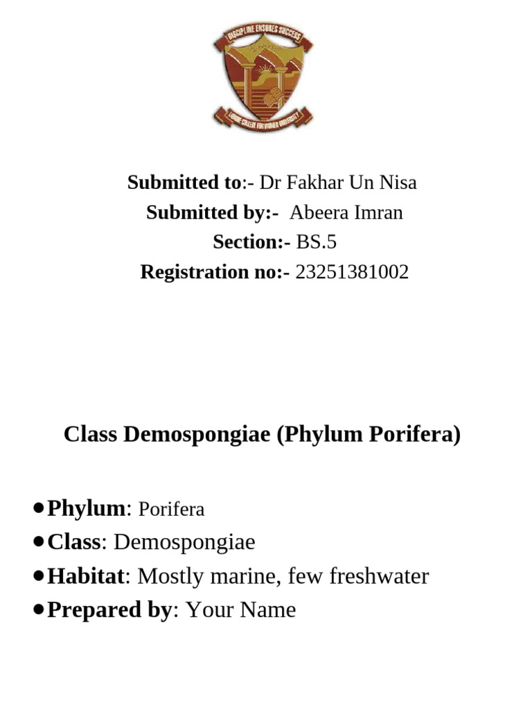 Demospongiae Class Overview and Importance | PDF