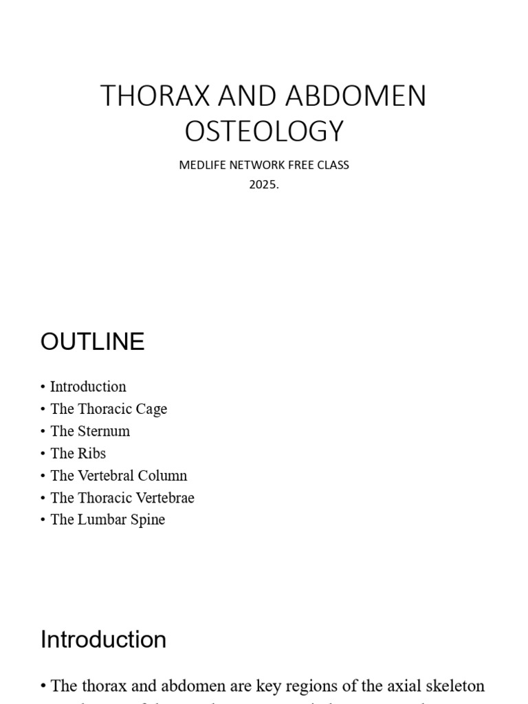 Thorax and Abdomen Osteology Guide | PDF | Vertebra | Thorax