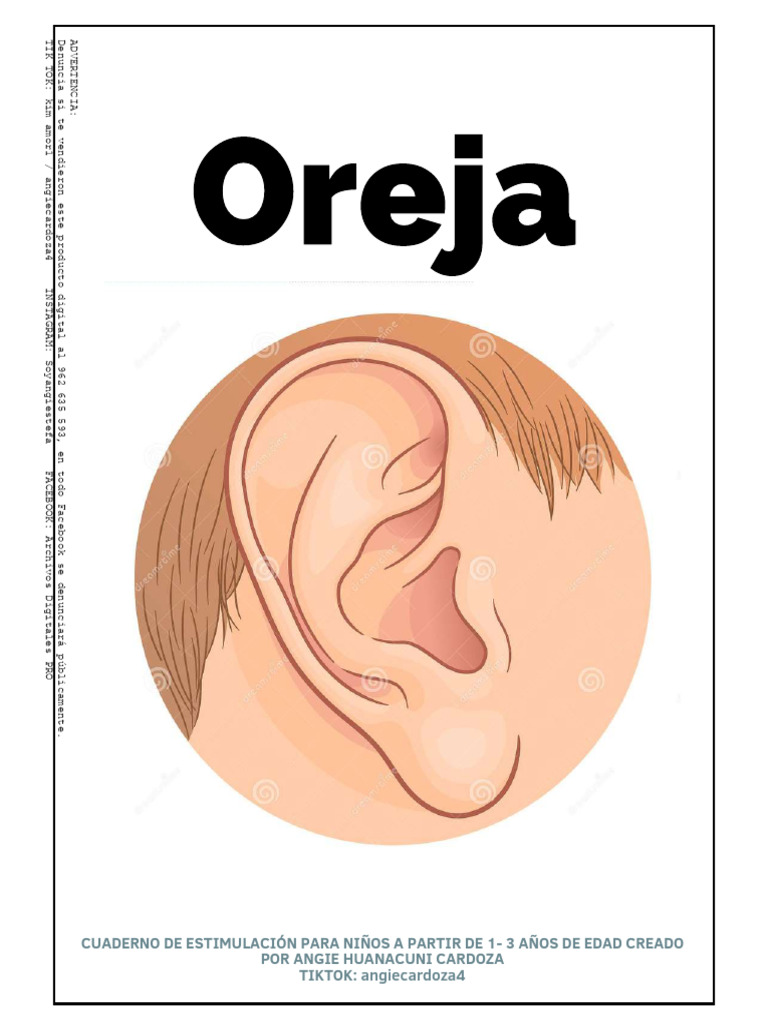 Cuaderno de Estimulación Infantil 1-3 Años | PDF | Servicios en línea ...