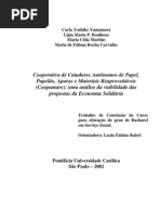 Economia Solidaria (TCC)