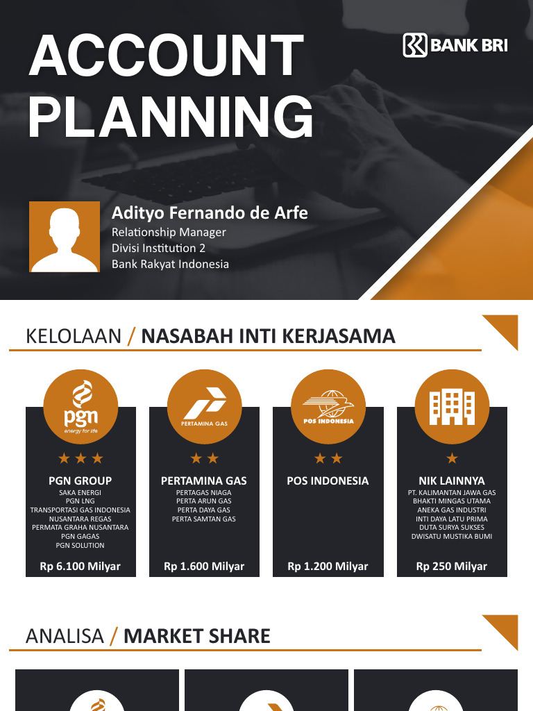Acc Plan | PDF