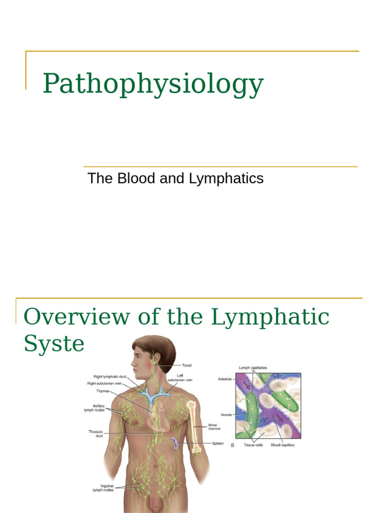 Blood and Lymphatic Pathophysiology | PDF | Anemia | Lymphatic System
