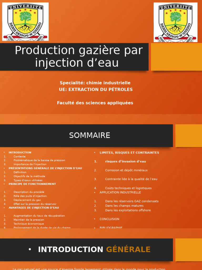 Injection d'eau pour la production gazière | PDF | Puits de pétrole ...