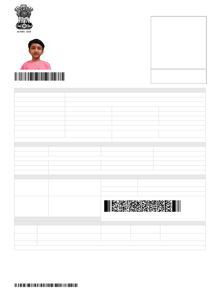 India Entry Visa Application Form | PDF | Travel Visa | Passport