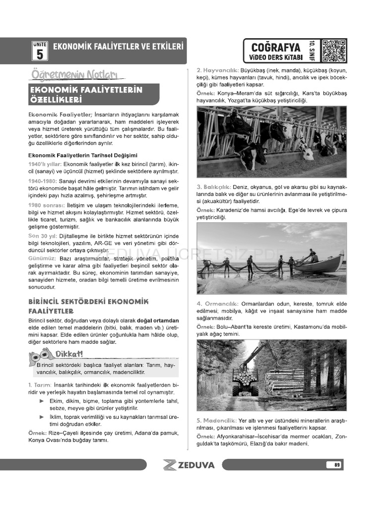 10.sinif Cografya Ekonomoik Faaliyetler Ve Etkileri Konu Anlatimi PDF | PDF