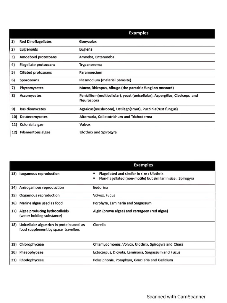 Ncert Example | PDF