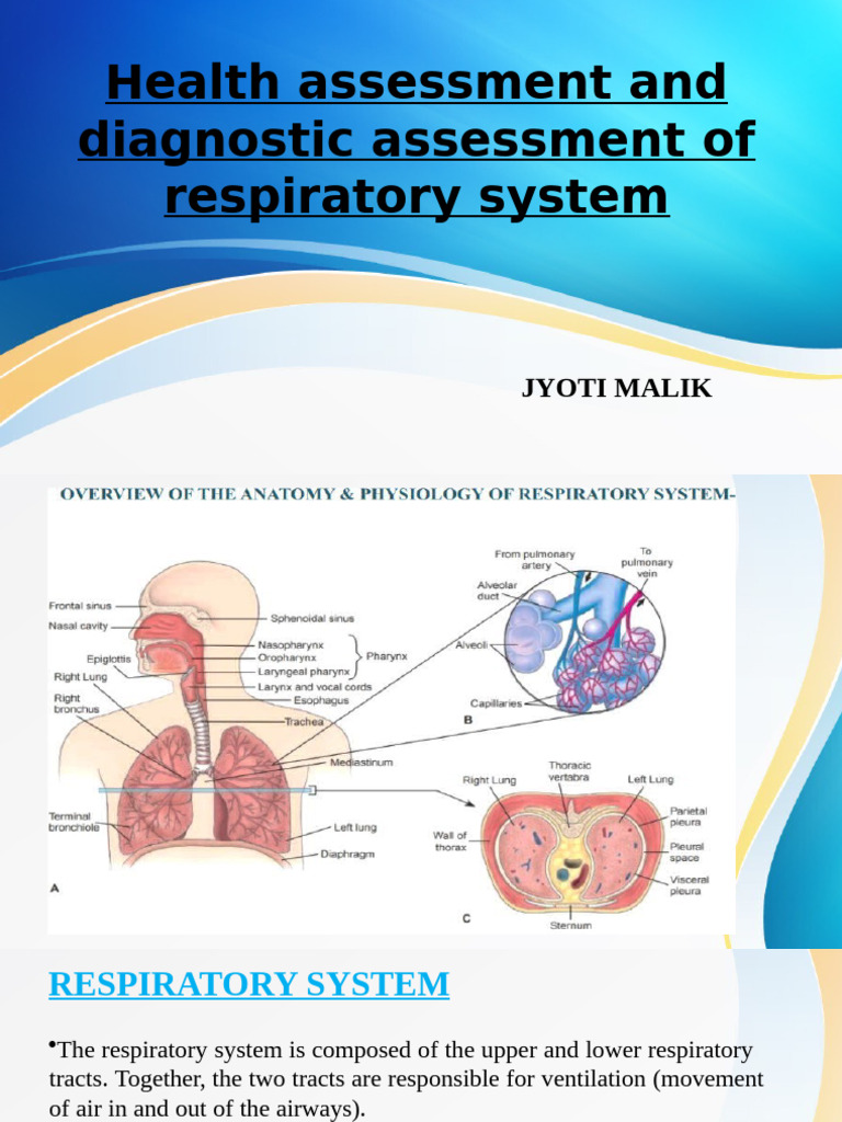 Respiratory System Health Assessment Guide | PDF | Respiratory Tract ...