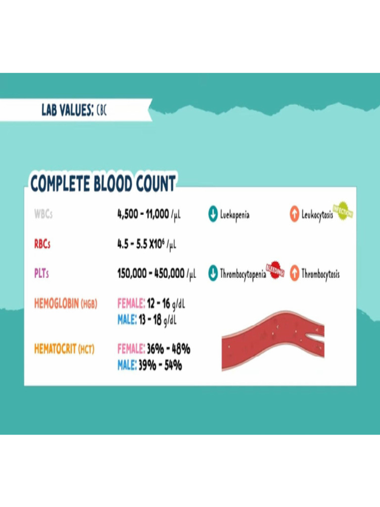 CBC Key | PDF