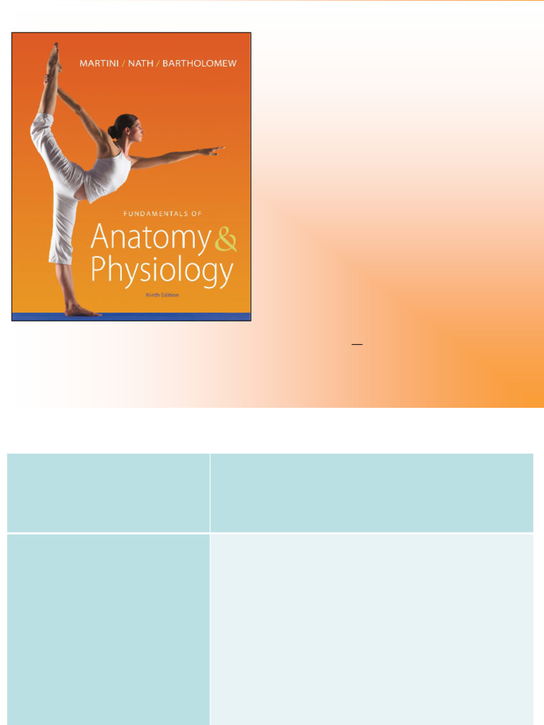 13 - Lecture - Notes 2024 | PDF | Spinal Cord | Motor Neuron