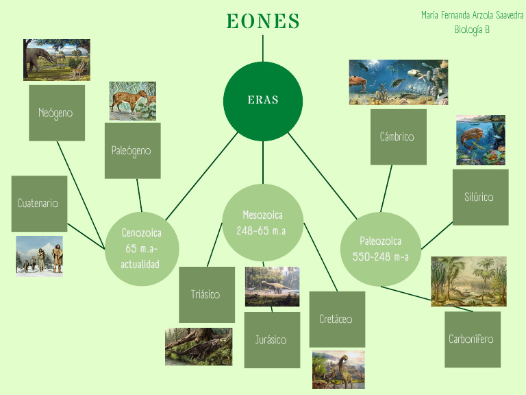EvoluciónFernanda ArzolaBiología BMapa Conceptual | PDF