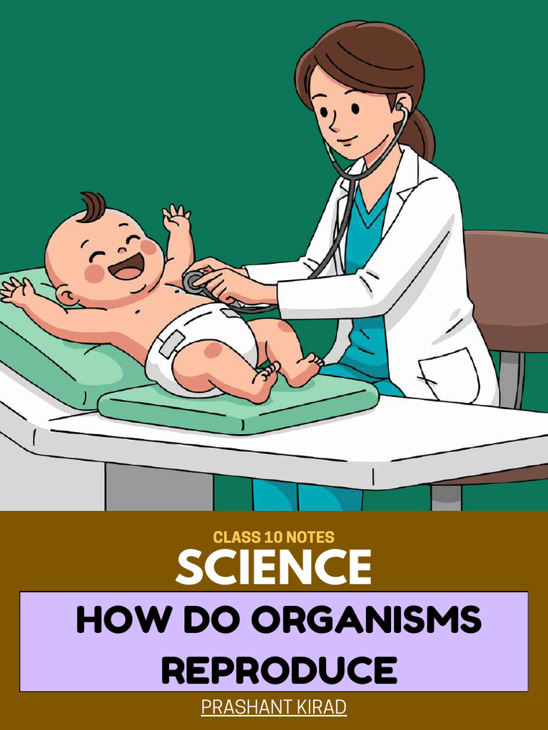 Class 10 Science: Reproduction Notes | PDF | Human Reproduction | Uterus