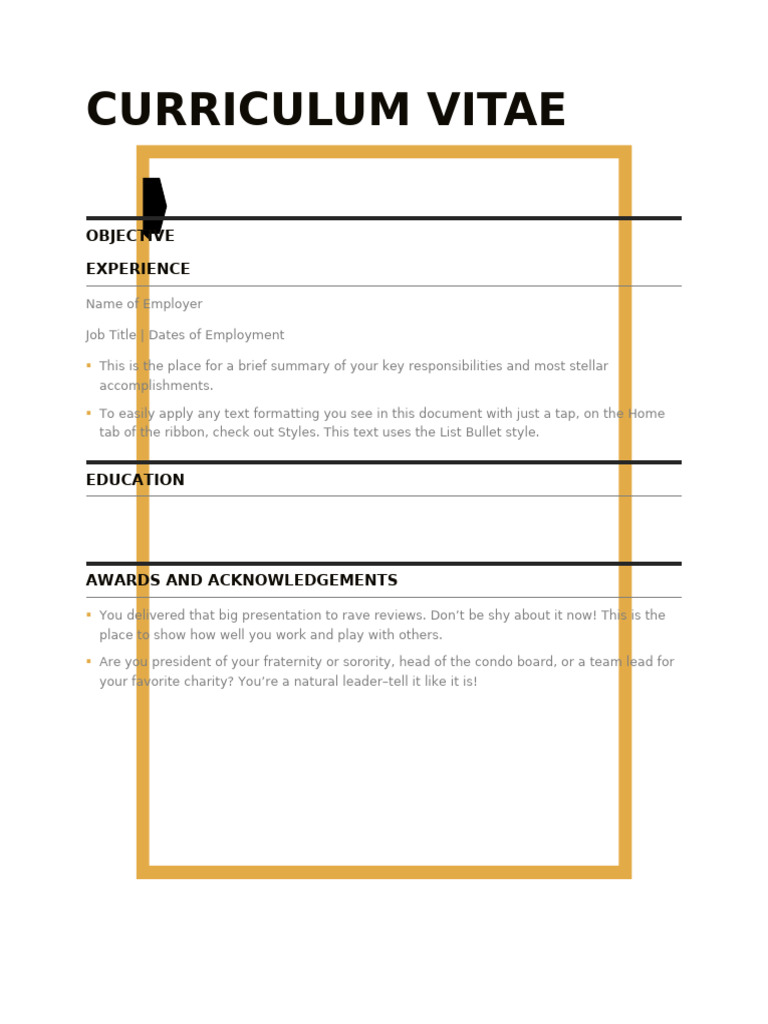 Professional CV Template Guide | PDF