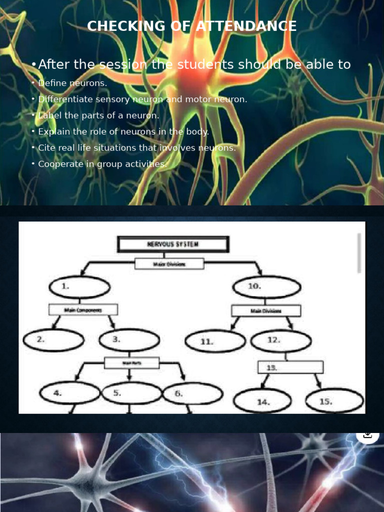 Understanding Neurons: Activities & Roles | PDF