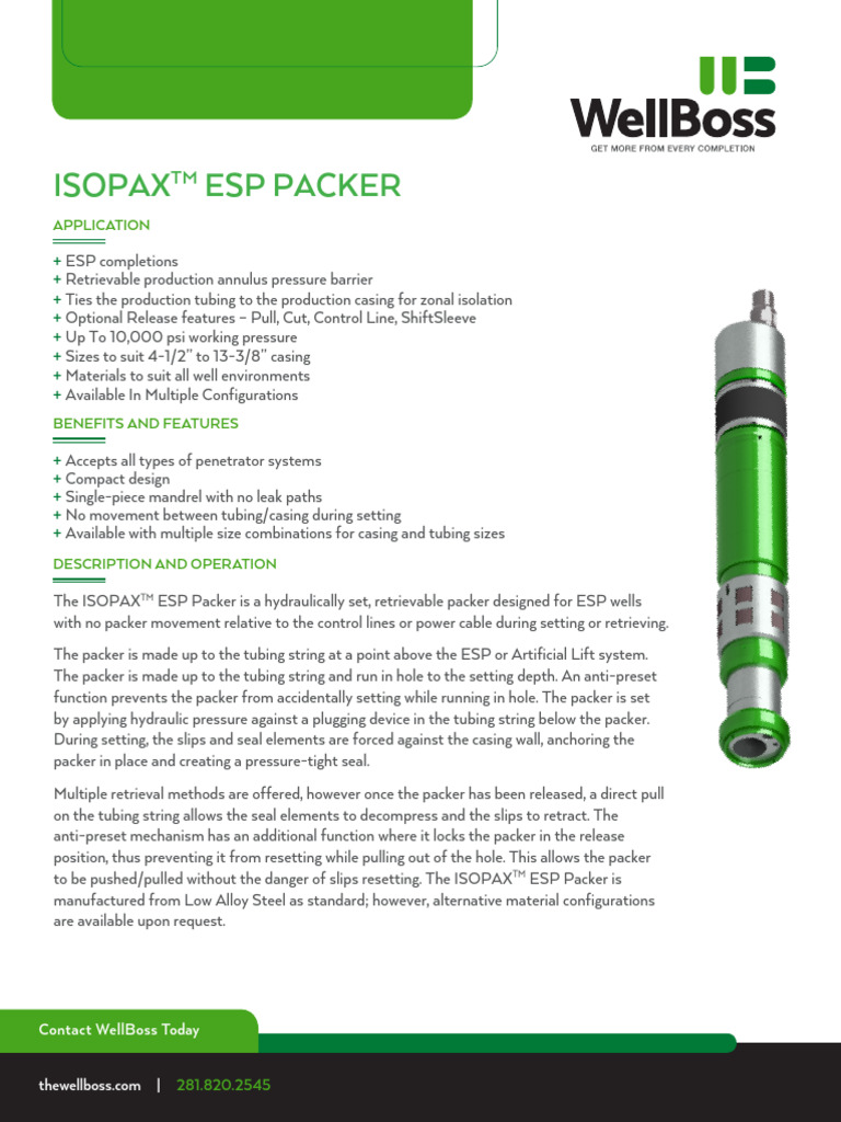 Wb Dec8 Mktpkpx a04 Esp Packer v2 | PDF