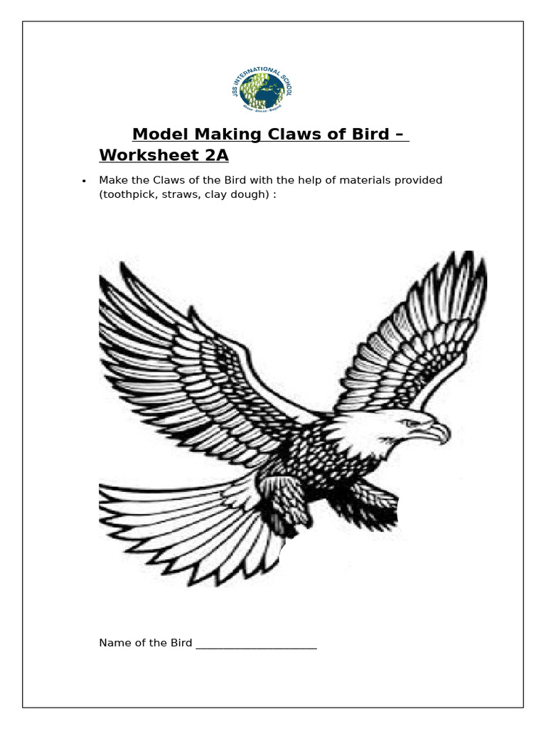 Model Making Claws of Bird 2A | PDF