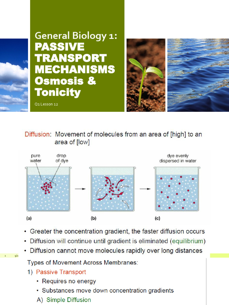 Osmosis and Tonicity Explained | PDF | Osmosis | Membrane Biology