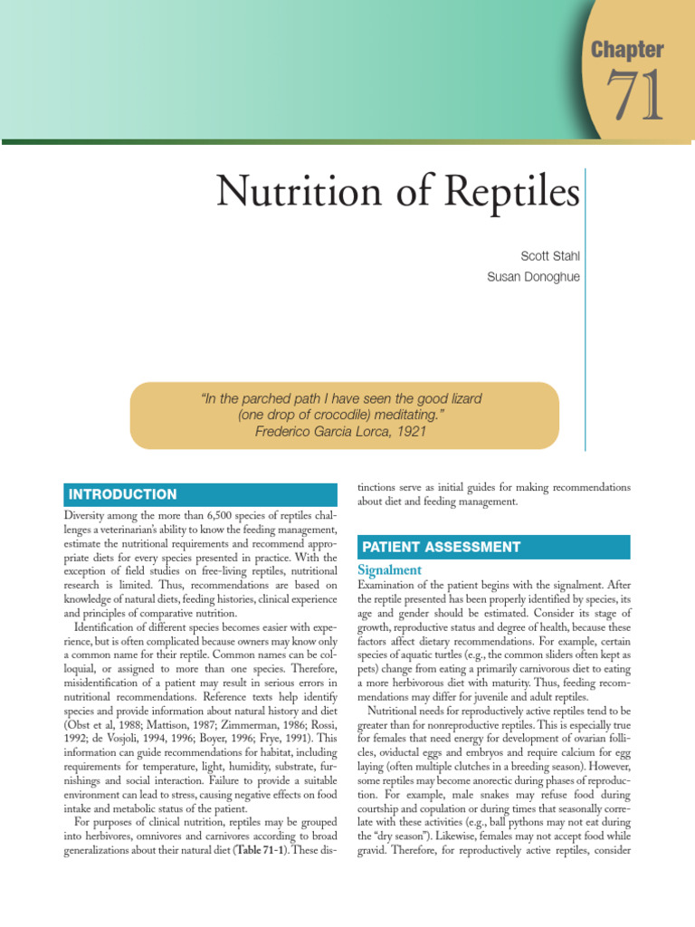 Reptile Nutrition and Feeding Guidelines | PDF | Reptile | Zoology